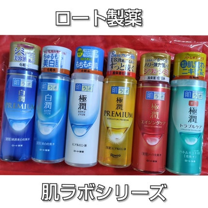 極潤ヒアルロン液(ハダラボモイスト化粧水d)/肌ラボ/化粧水を使ったクチコミ(1枚目)
