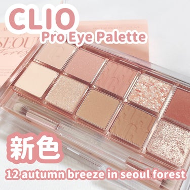 プロ アイ パレット/CLIO/アイシャドウパレットを使ったクチコミ（1枚目）