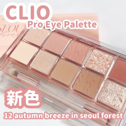 プロ アイ パレット/CLIO/アイシャドウパレットを使ったクチコミ(1枚目)