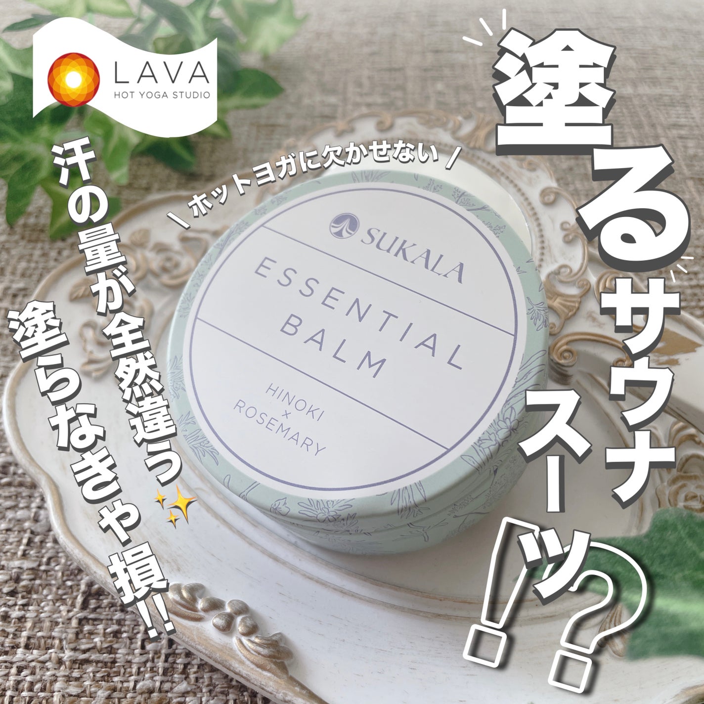 53fd8f42a812215ba39baf64- 53fd8f42a812215ba39baf64-