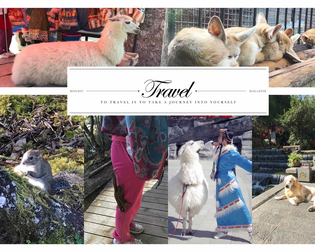 玉容(オクヨン)パック/Sulwhasoo/洗い流すパック・マスクを使ったクチコミ(3枚目)