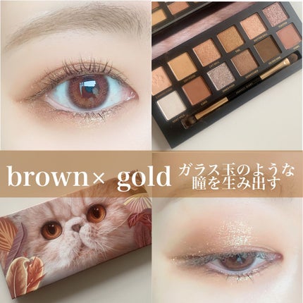 エクスプローラ12色 動物アイシャドウパレット/PERFECT DIARY/アイシャドウパレットを使ったクチコミ(1枚目)