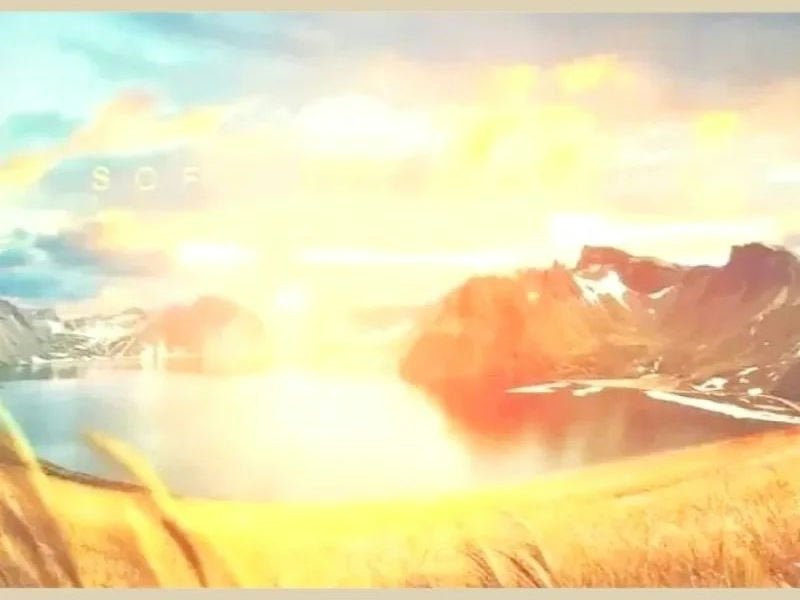 MP フィルムマスカラ ロングラッシュ/セリア/マスカラを使ったクチコミ(1枚目)