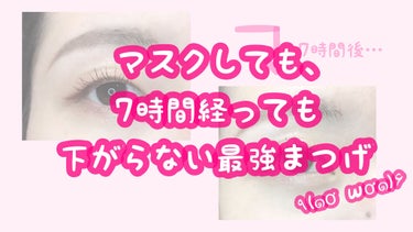 アイラッシュカーラー/SHISEIDO/ビューラーを使ったクチコミ（1枚目）