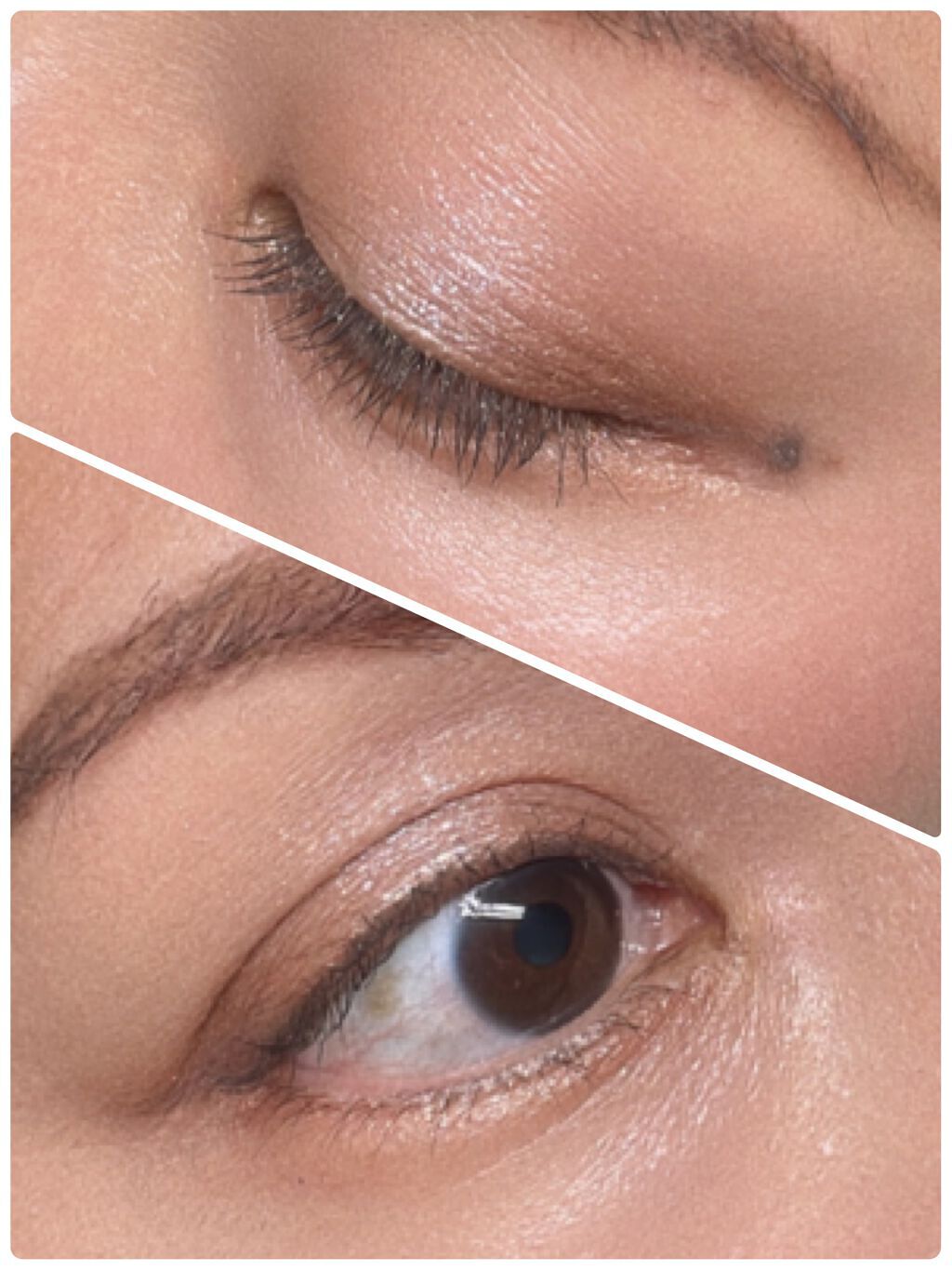 シグニチャー カラー アイズ/SUQQU/アイシャドウパレットを使ったクチコミ(2枚目)