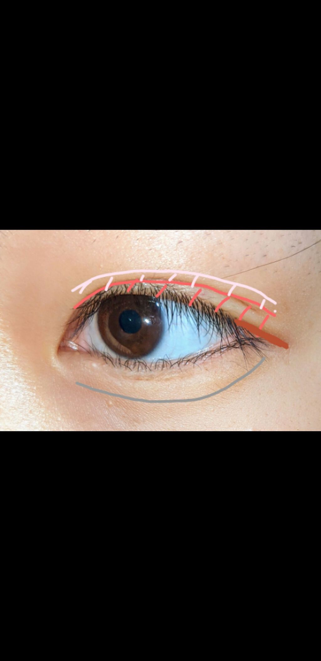 アイラッシュカーラー/SHISEIDO/ビューラーを使ったクチコミ（3枚目）