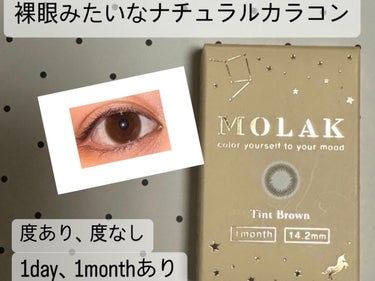 MOLAK 1month ティントブラウン/MOLAK/１ヶ月（１MONTH）カラコンの画像