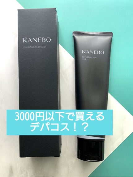 スクラビング マッド ウォッシュ/KANEBO/洗顔フォームを使ったクチコミ(1枚目)