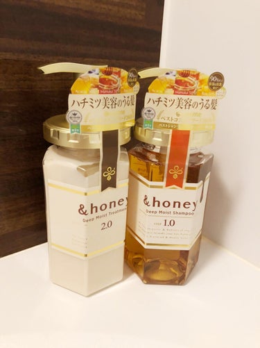 ディープモイスト シャンプー1.0／ヘアトリートメント2.0/&honey/シャンプー・コンディショナーを使ったクチコミ（1枚目）