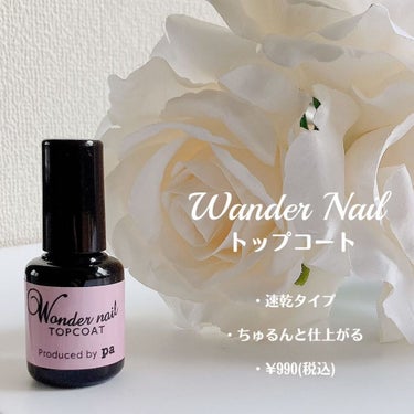 pa ワンダーネイル WN-24/pa nail collective/マニキュアの画像