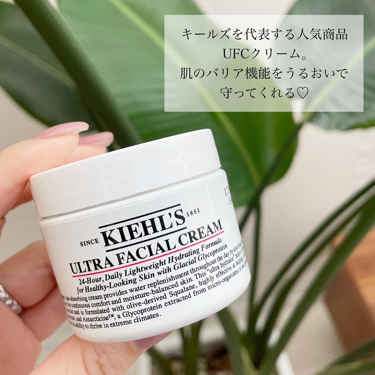 クリーム UFC/Kiehl's/フェイスクリームを使ったクチコミ（2枚目）