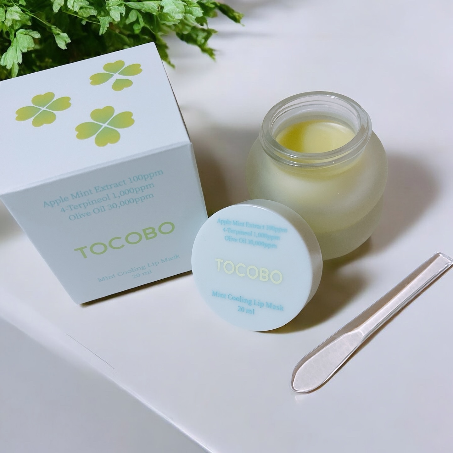 ミントクーリングリップマスク/TOCOBO/リップマスクを使ったクチコミ（2枚目）