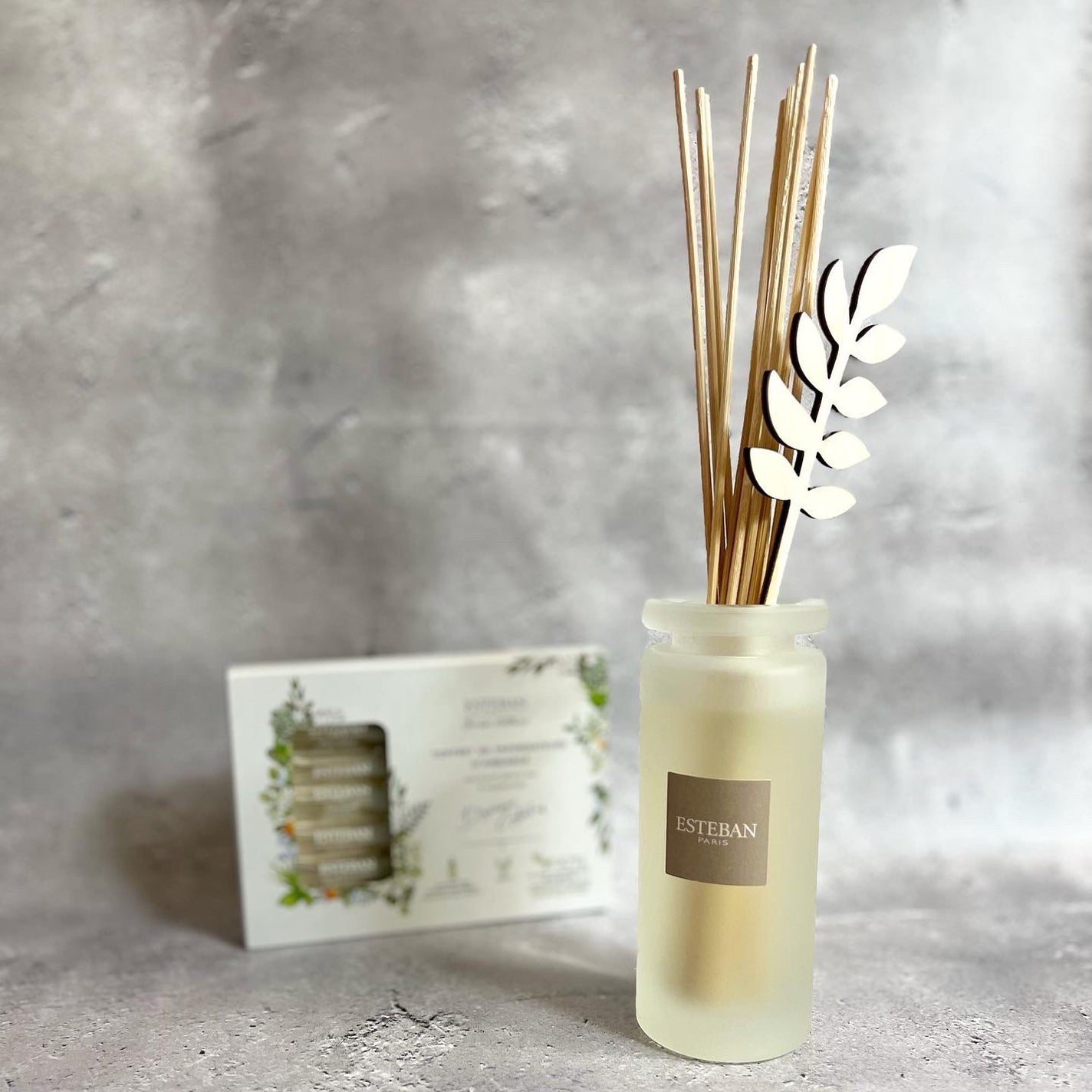 インテリアガーデン ナチュール ラタンブーケ ディフューザー /ESTEBAN/ルームフレグランスを使ったクチコミ(1枚目)