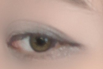 グラデーション アイシャドウ 06 グレー/ちふれ/アイシャドウパレットを使ったクチコミ（2枚目）