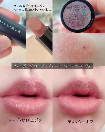 アクトレスルージュ UV ワイルドチェリー/ブリリアージュ/口紅の画像