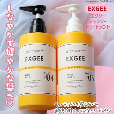 エグジー シャンプー／トリートメント シャンプー 400ml/EXGEE/シャンプー・コンディショナーを使ったクチコミ（2枚目）