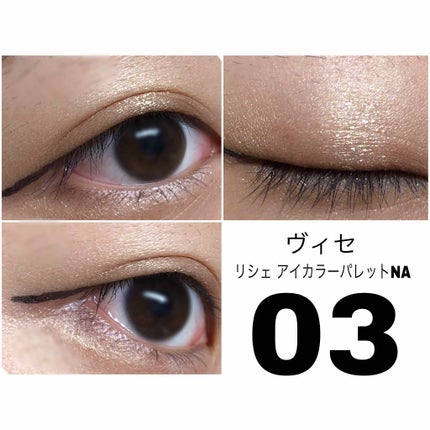 アイカラーパレットNA/Visée/アイシャドウパレットを使ったクチコミ(2枚目)