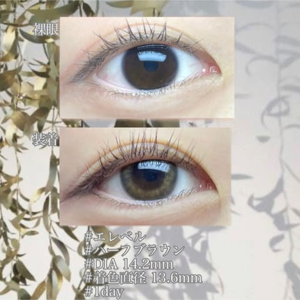 TeAmo 1DAY/TeAmo/ワンデー(1DAY)カラコンを使ったクチコミ(4枚目)