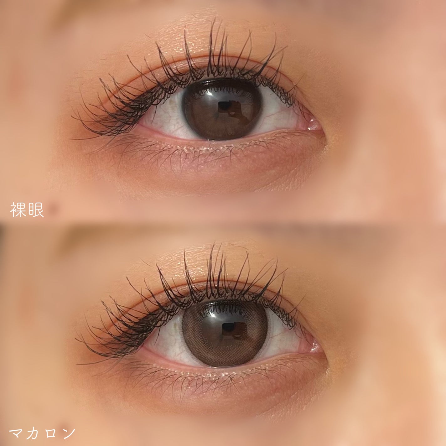 HARNE 1day/HARNE/ワンデー(1DAY)カラコンを使ったクチコミ(5枚目)
