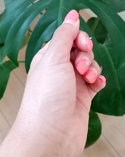 を使ったクチコミ(3枚目)