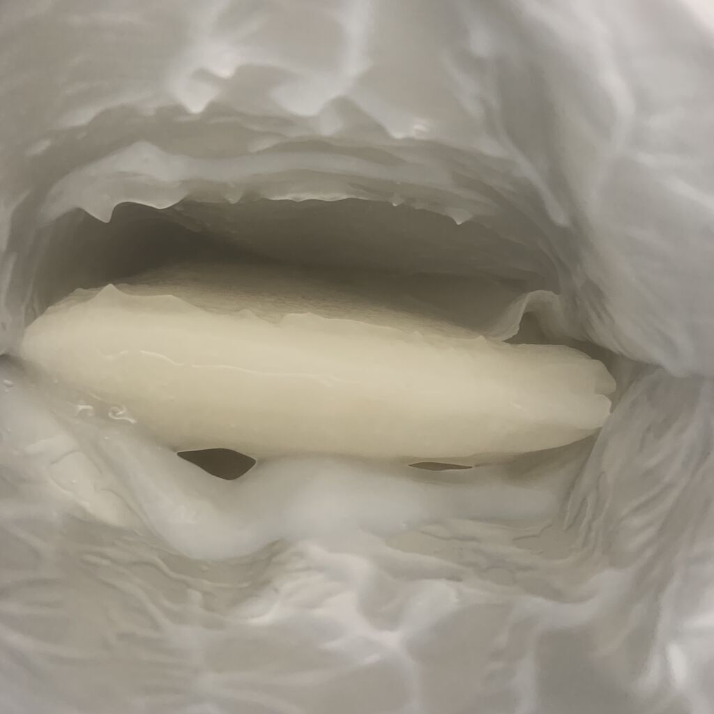 シカルファットプラス リペアクリーム/アベンヌ/フェイスクリームを使ったクチコミ（2枚目）