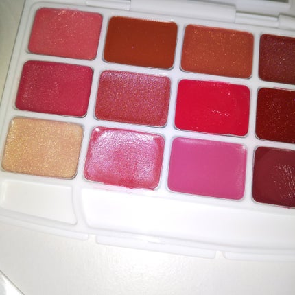 12色 リップ パレット/LOUJENE/口紅を使ったクチコミ(2枚目)