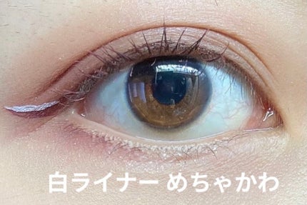 EYE OPENING LINER/UZU BY FLOWFUSHI/リキッドアイライナーを使ったクチコミ(1枚目)