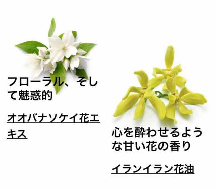 セクシー・ダイナマイト ボディスプレー/ラッシュ/香水(その他)を使ったクチコミ(5枚目)