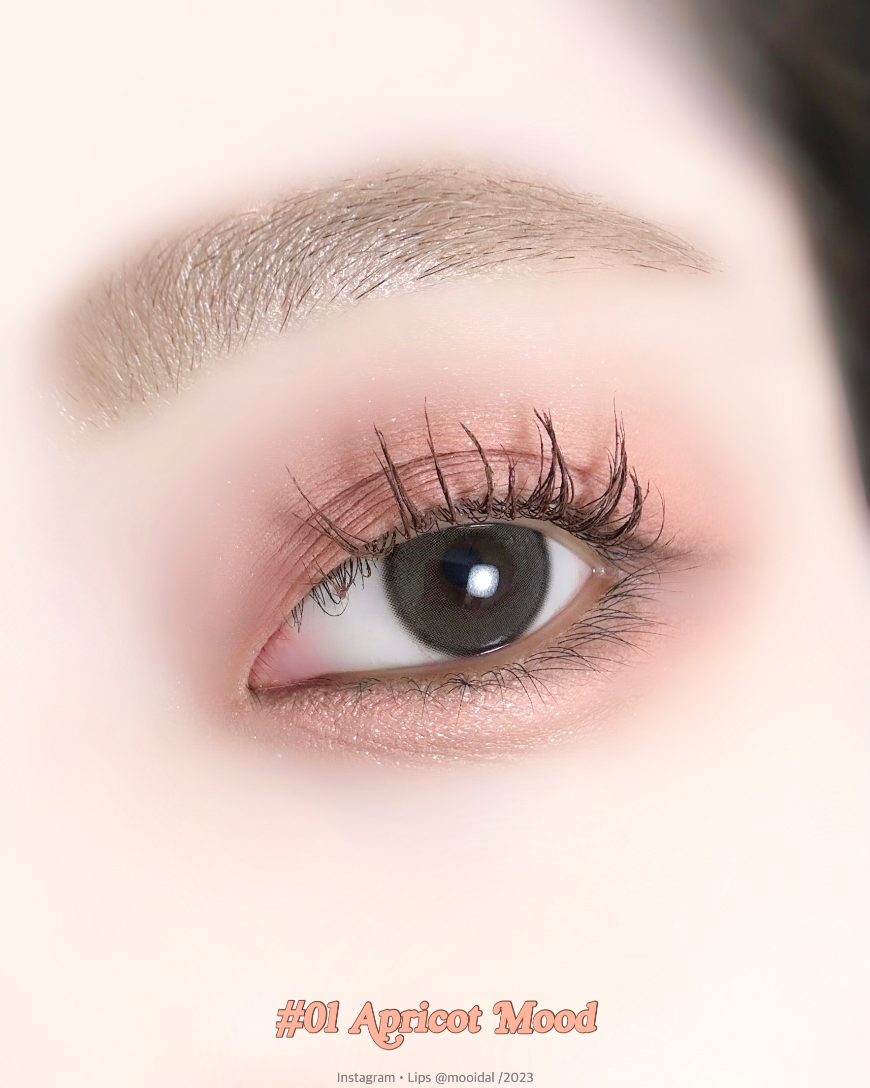 ベアレイヤーパレット/rom&nd/アイシャドウパレットを使ったクチコミ（3枚目）