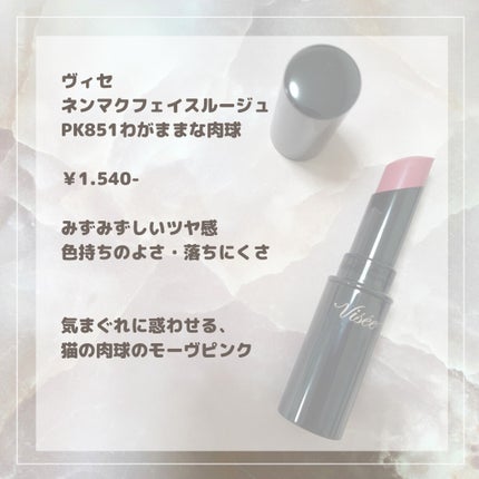 ネンマクフェイク ルージュ/Visée/口紅を使ったクチコミ(4枚目)