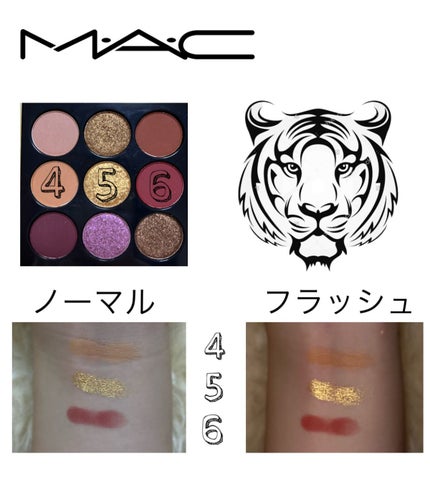 アイシャドウ × 9:メイド マイ フォーチュン/M・A・C/アイシャドウパレットを使ったクチコミ(4枚目)