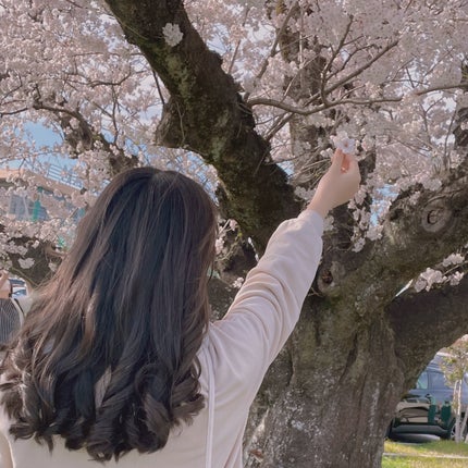 ミラクルズ うるおいブースト シャンプー/トリートメント/パンテーン/市販シャンプーを使ったクチコミ(4枚目)