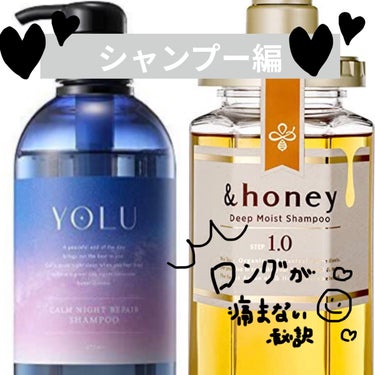 ディープモイスト シャンプー1.0／ヘアトリートメント2.0/&honey/シャンプー・コンディショナーを使ったクチコミ（1枚目）