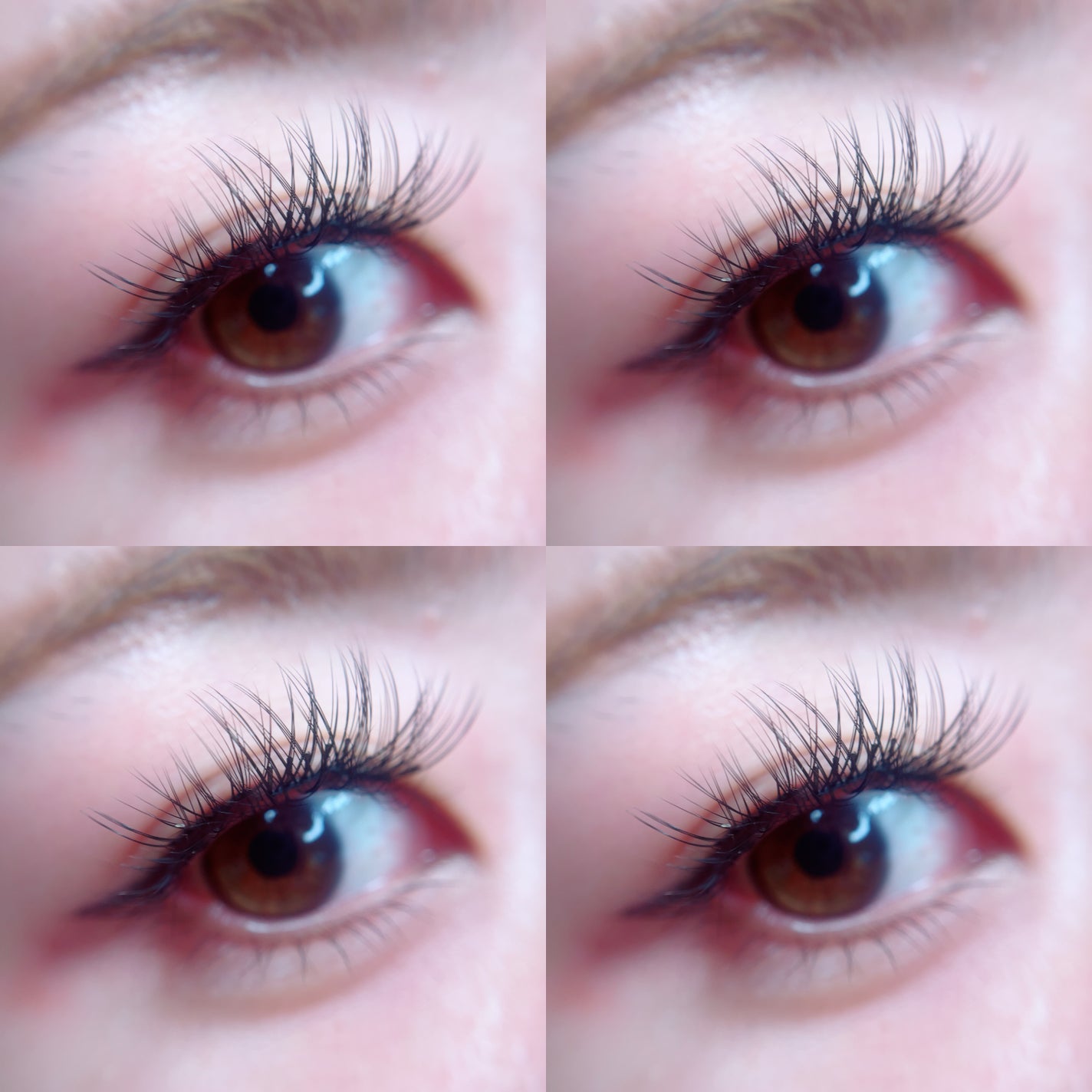 オーリオシングルウィスピーXL/ollio/つけまつげを使ったクチコミ(3枚目)