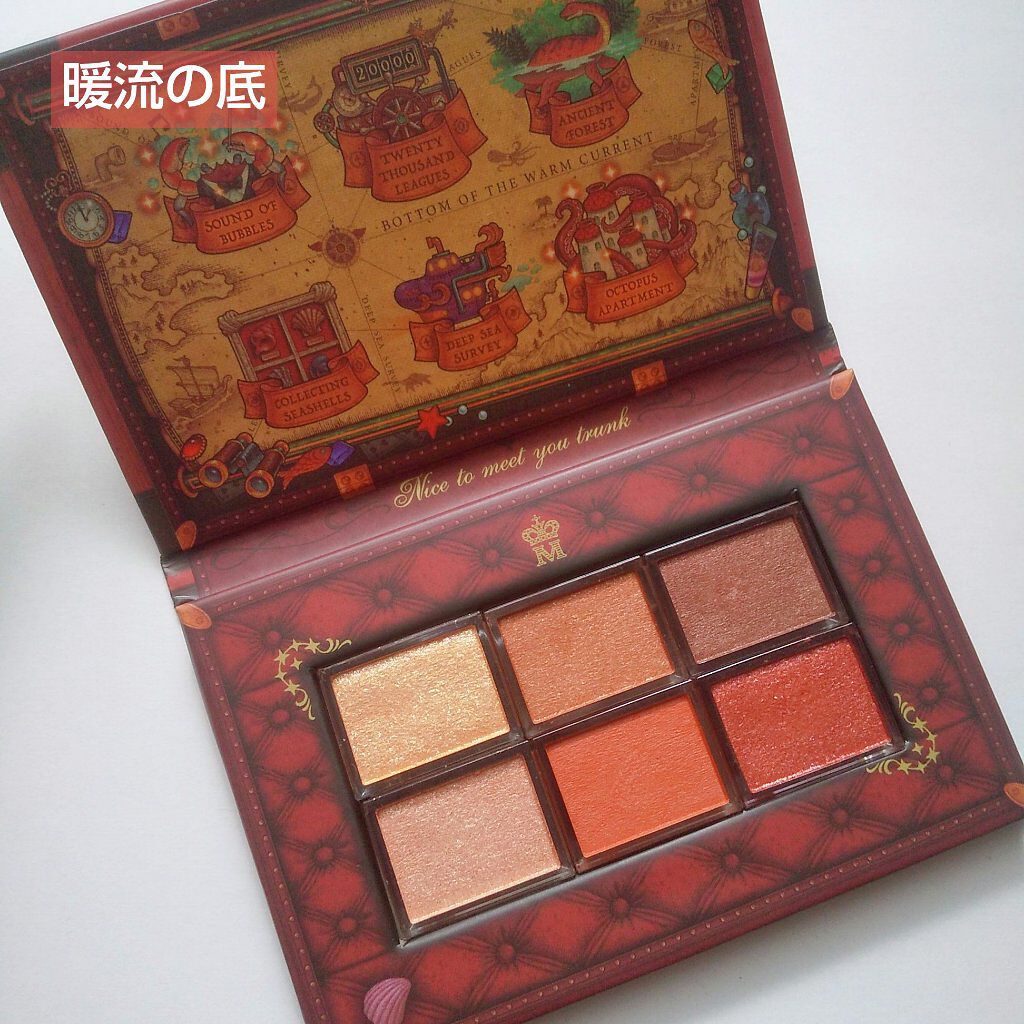 ナイストゥミーチュートランク/MAJOLICA MAJORCA/アイシャドウパレットを使ったクチコミ(3枚目)