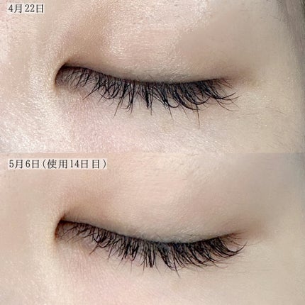 アイラッシュセラム100EX/COSNORI/まつげ美容液を使ったクチコミ(6枚目)
