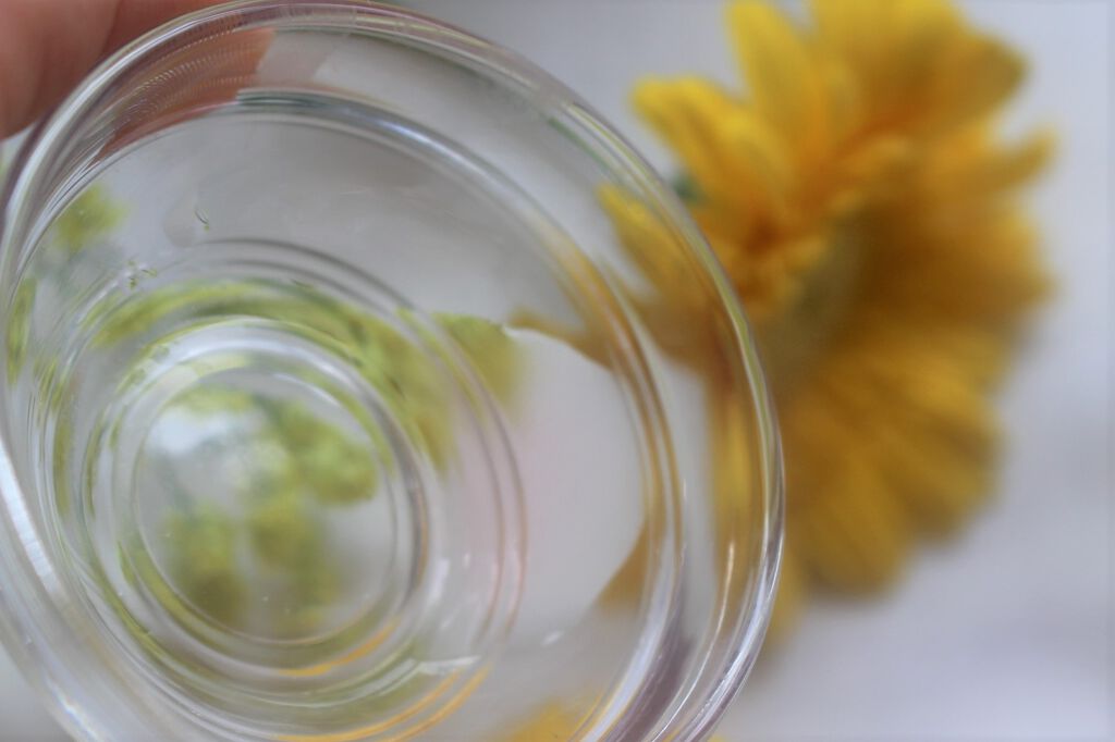 kuriko on LIPS 「#リンシングビネガーさらキララズベリー1100円(税込)#サス..」(3枚目)