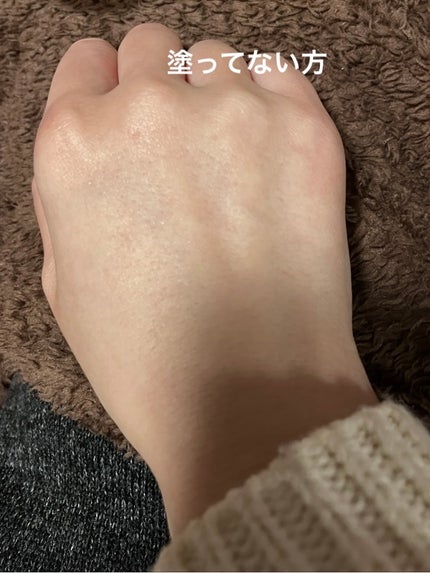 ジューシーパン スキンケアプライマー/A’pieu/化粧下地を使ったクチコミ(6枚目)