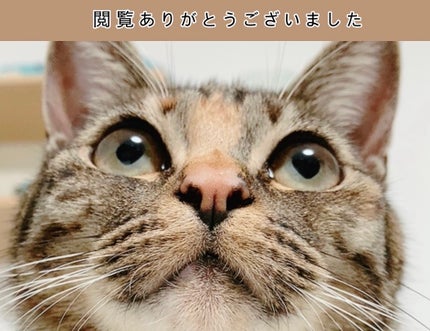 皮脂テカリ防止下地/CEZANNE/化粧下地を使ったクチコミ(5枚目)