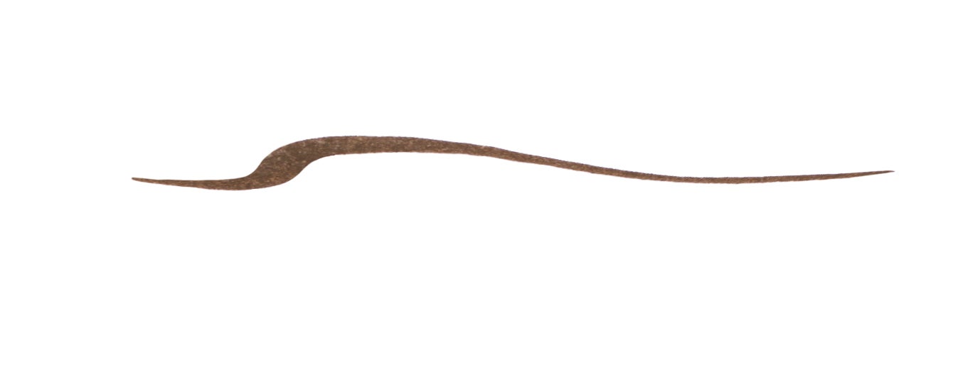 アディクション ザ リキッド アイライナー 002C Melting Brown