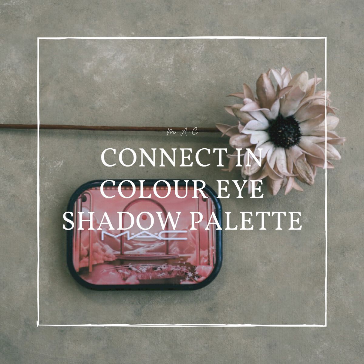 コネクト イン カラー アイシャドウ パレット × 6/M・A・C/アイシャドウパレットを使ったクチコミ（1枚目）