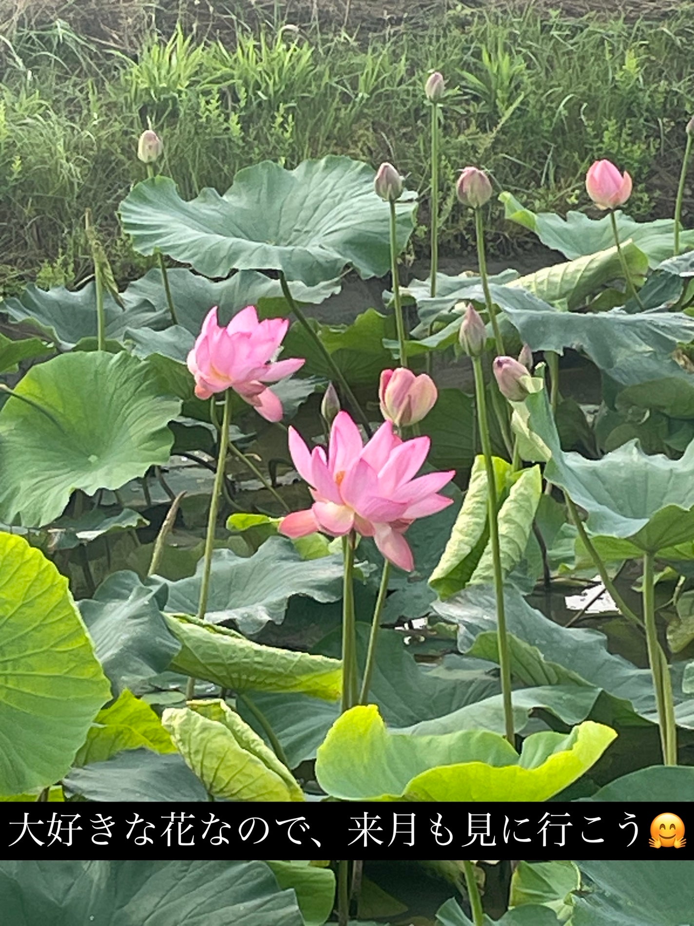 ディオール アディクト リップ マキシマイザー/Dior/リップグロスを使ったクチコミ(5枚目)