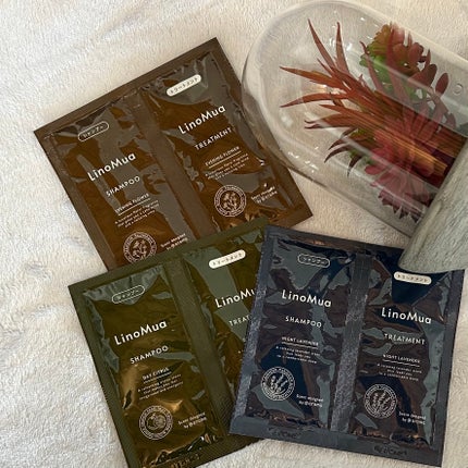 オーガニックシャンプー/トリートメント デイシトラスの香り/LinoMua/市販シャンプーを使ったクチコミ(1枚目)