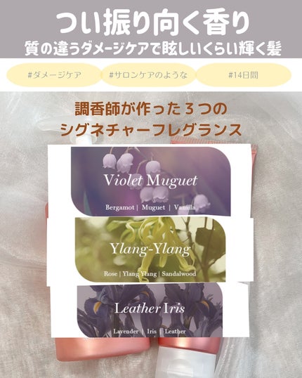 クンダル ダメージケア シャンプー/トリートメント/KUNDAL/市販シャンプーを使ったクチコミ(4枚目)