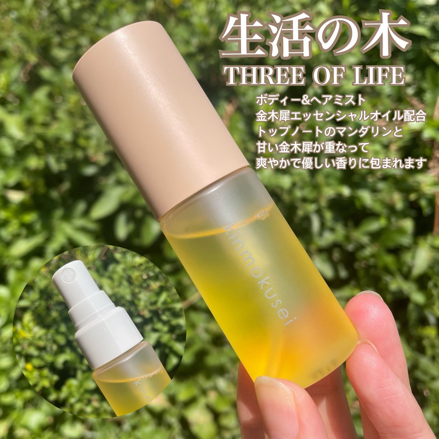 金木犀 ボディー&ヘアミスト/生活の木/香水(その他)を使ったクチコミ(5枚目)