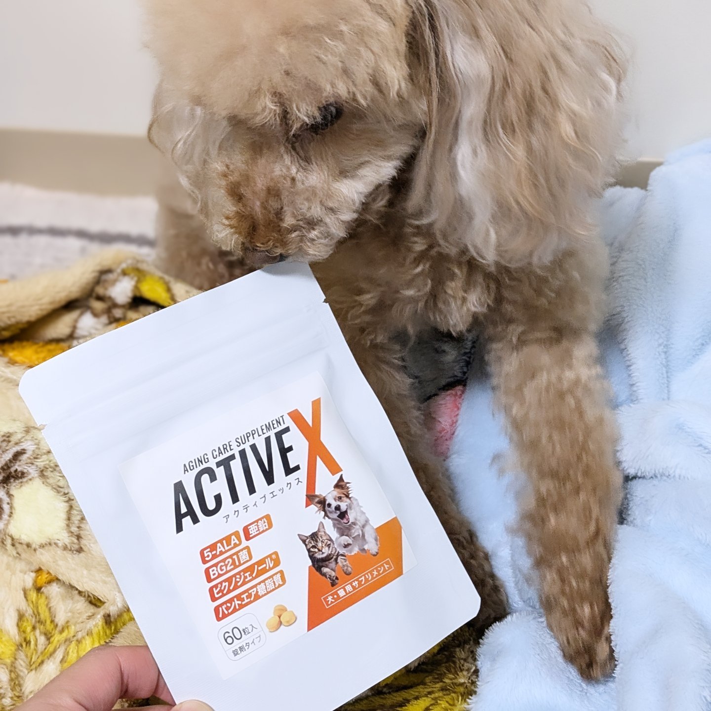 を使ったクチコミ（3枚目）