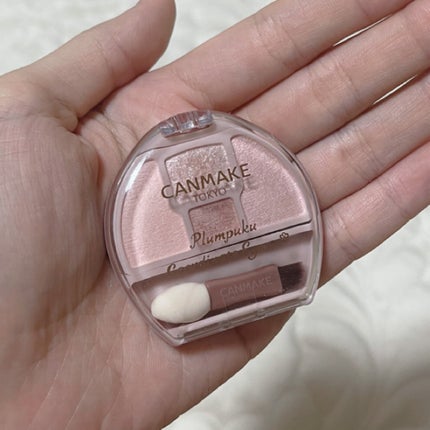 プランぷくコーデアイズ/キャンメイク/パウダーアイシャドウを使ったクチコミ(2枚目)