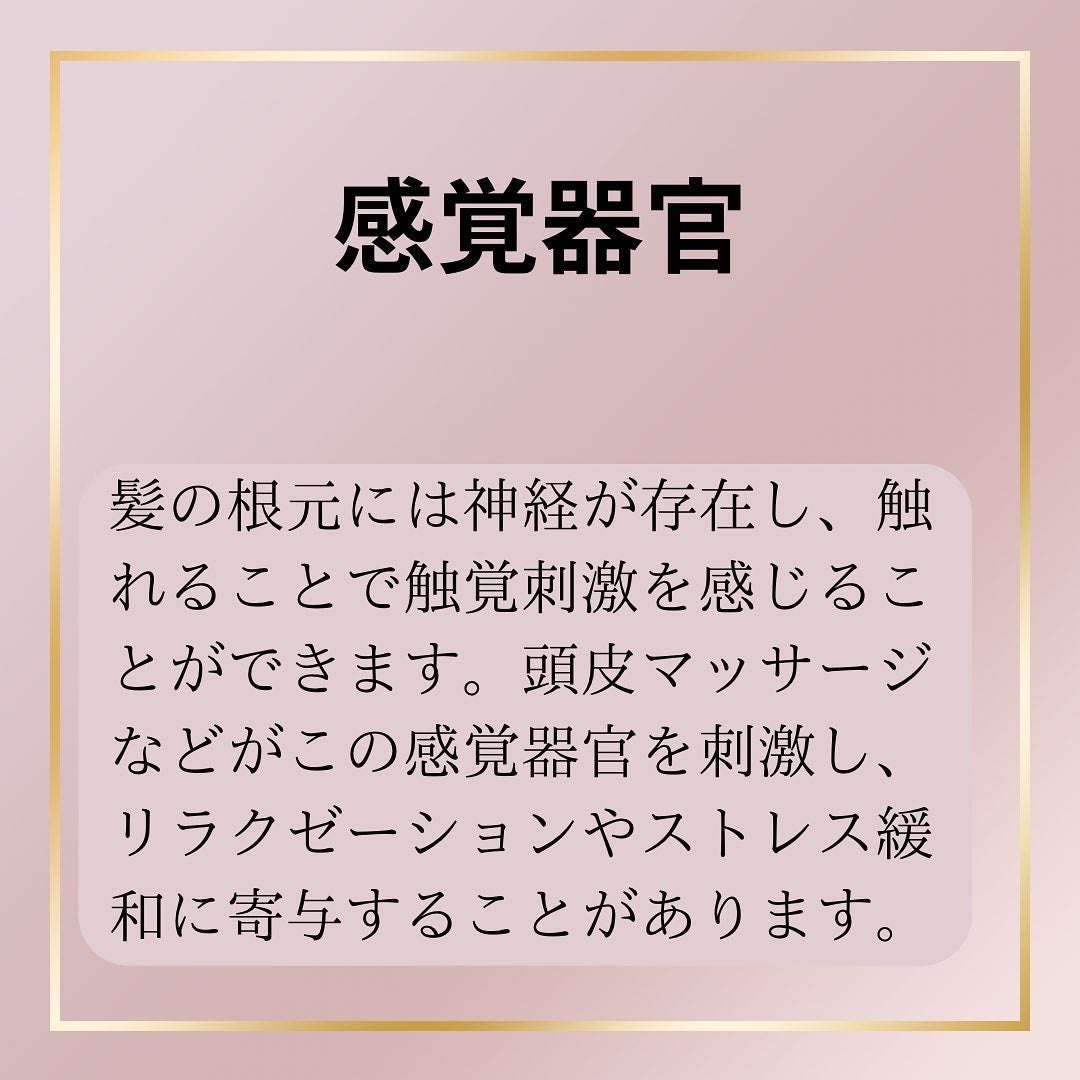 マナコロモチ on LIPS 「正しい髪の毛のケア🛁🧼意外と知らない髪のこと🤔#ヘアケア#シャ..」(7枚目)