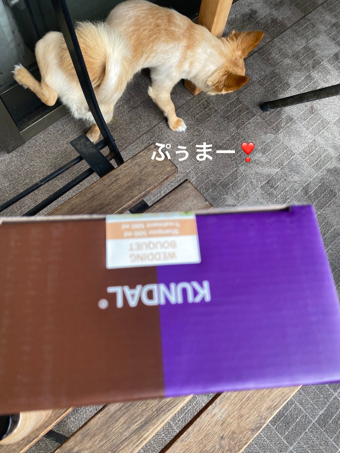 ネイチャーシャンプー/KUNDAL/市販シャンプーを使ったクチコミ(3枚目)