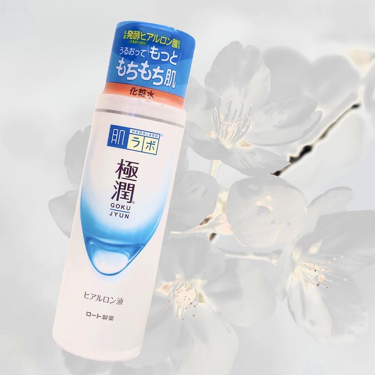 極潤ヒアルロン液(ハダラボモイスト化粧水d)/肌ラボ/化粧水を使ったクチコミ(10枚目)